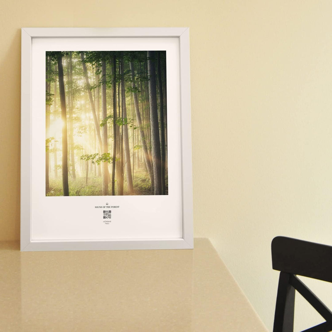 VALINA HÖRBAR RELAX | Hörbild | SOUND OF THE FOREST | Magic mood | Im Rahmen Weisser Rahmen 32,5cm 4