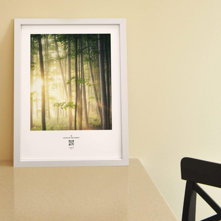 VALINA HÖRBAR RELAX | Hörbild | SOUND OF THE FOREST | Magic mood | Im Rahmen Weisser Rahmen 32,5cm 4