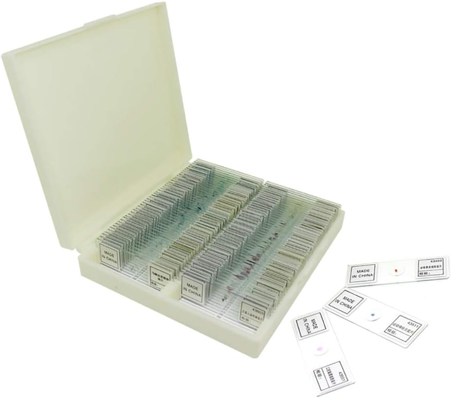 25PCS Vorbereitete Mikroskop-Objektträger-Set, Mikroskop-Objektträger mit hölzerner Dia-Aufbewahrung