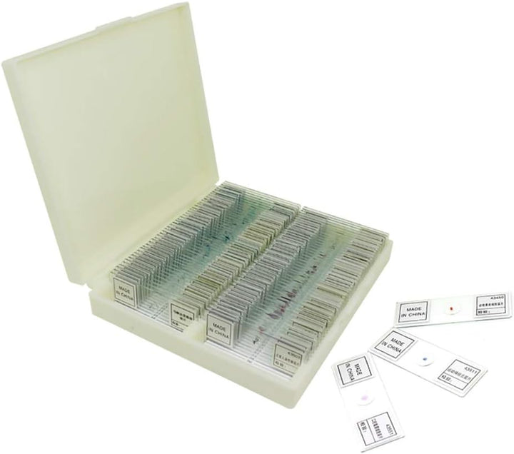 25PCS Vorbereitete Mikroskop-Objektträger-Set, Mikroskop-Objektträger mit hölzerner Dia-Aufbewahrung