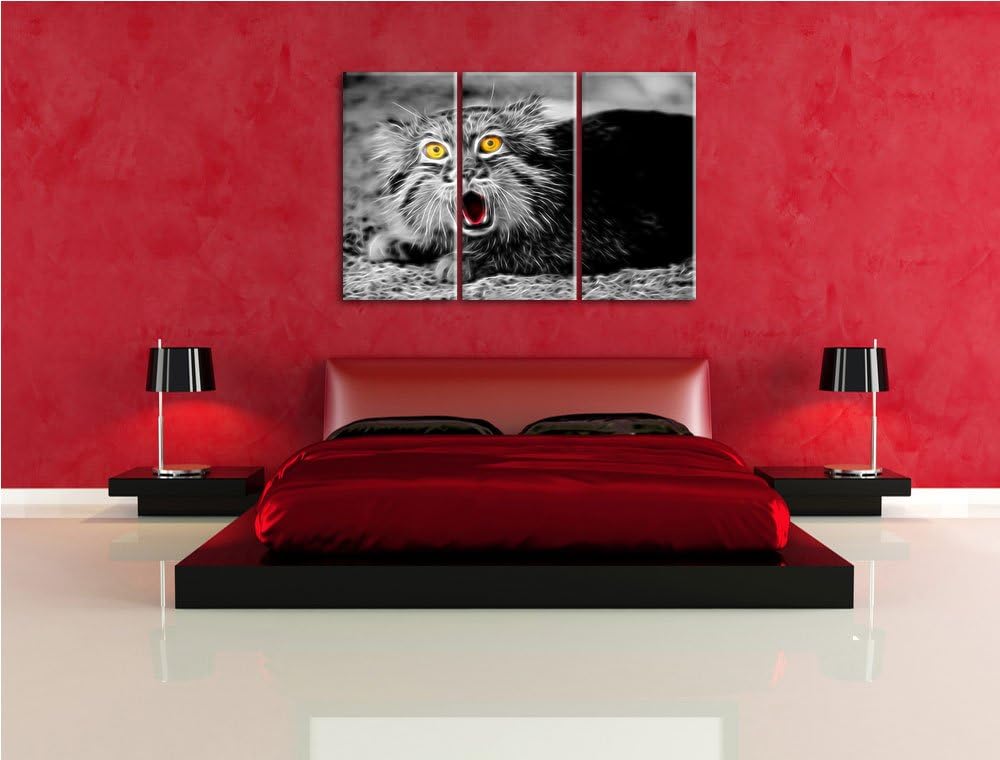 scheue Manul schwarz/weiss Deluxe 3-Teiler Leinwandbild 120x80 Bild auf Leinwand, XXL riesige Bilder