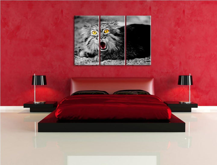 scheue Manul schwarz/weiss Deluxe 3-Teiler Leinwandbild 120x80 Bild auf Leinwand, XXL riesige Bilder