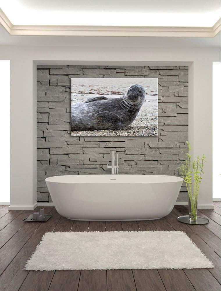 dunkle Robbe entspannt an Kiesstrand Leinwand, XXL riesige Bilder fertig gerahmt mit Keilrahmen, Kun