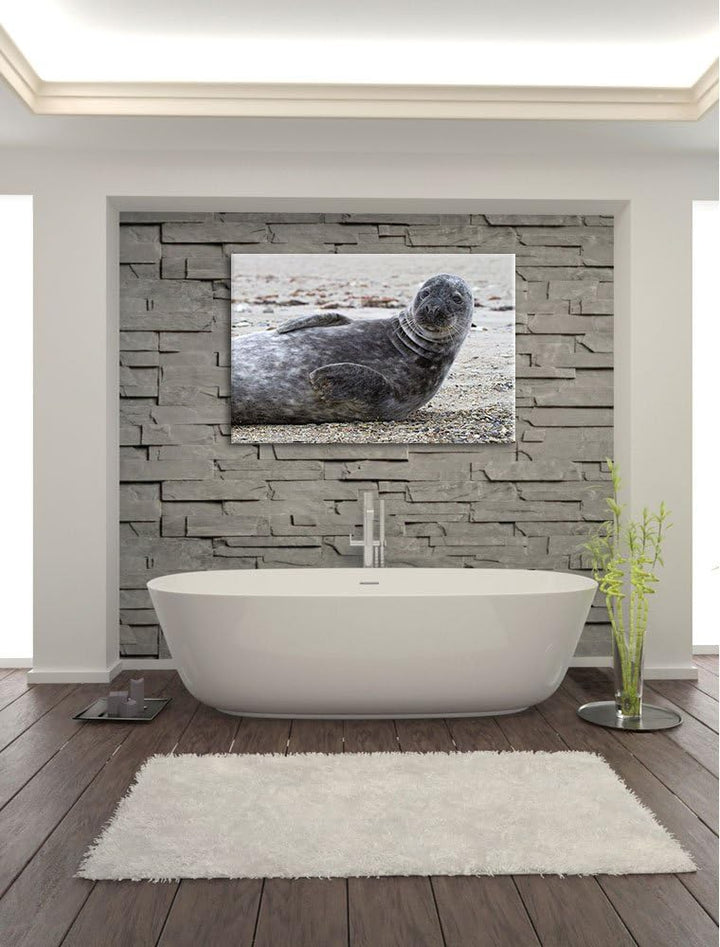 dunkle Robbe entspannt an Kiesstrand Leinwand, XXL riesige Bilder fertig gerahmt mit Keilrahmen, Kun