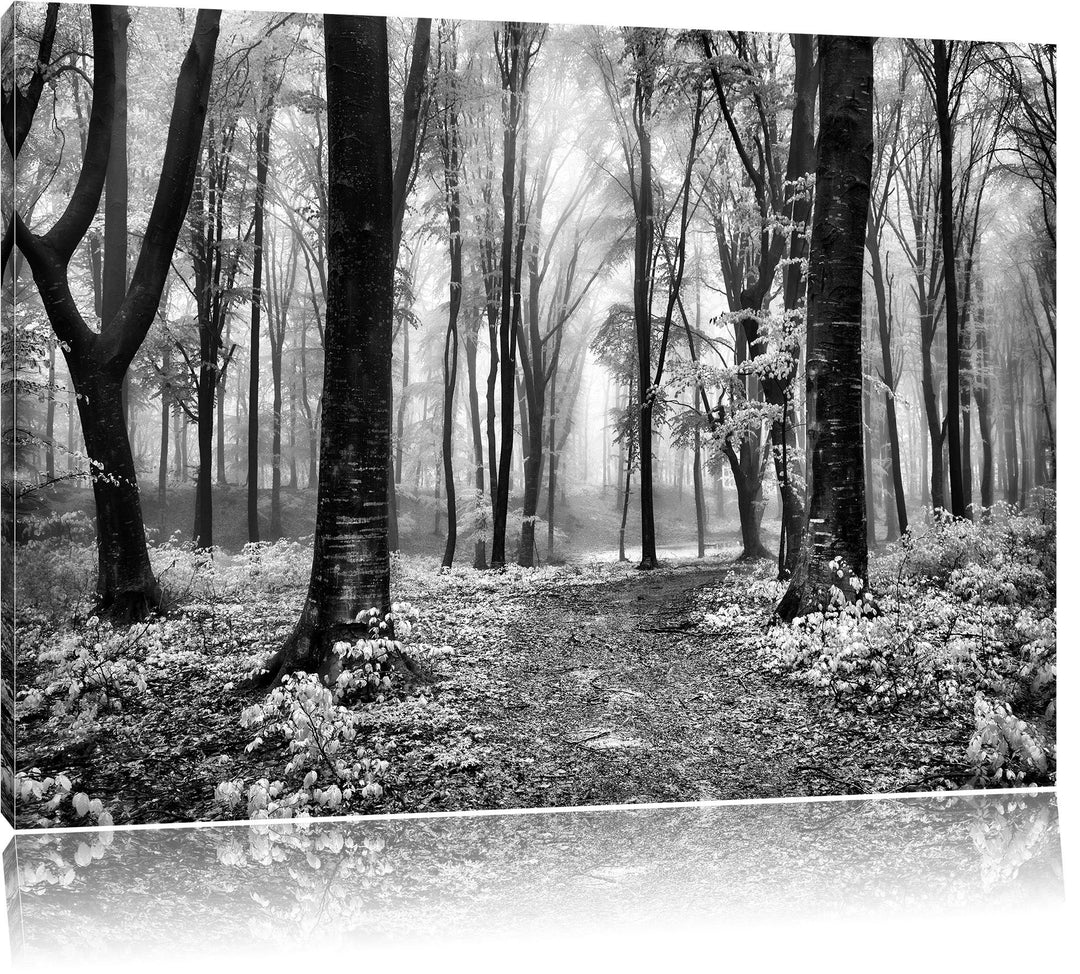 Pixxprint Sonniger Weg im Wald / 100x70cm Leinwandbild bespannt auf Holzrahmen/Wandbild Kunstdruck D