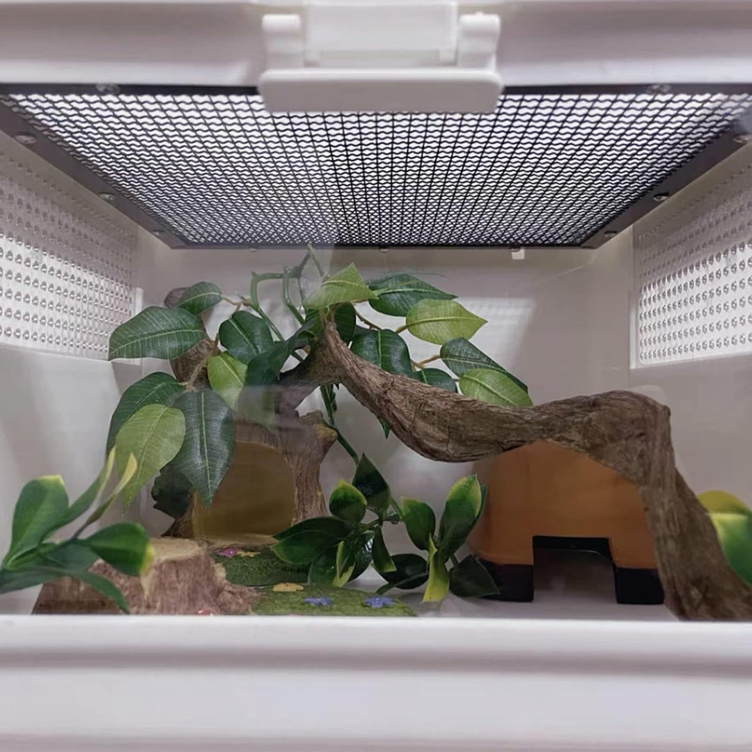 Reptilienholzzweig Eidechse Kletterreben Schlange Terrarium Dekor Gecko Tank Habitat Dekorationen fü