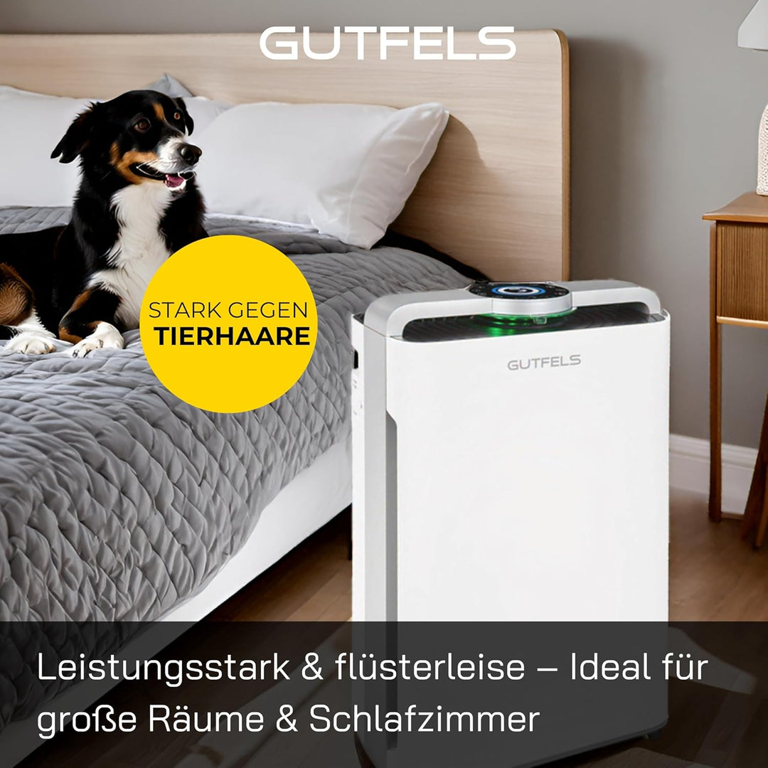 Luftreiniger und Luftbefeuchter, 2-in-1 Kombigerät, 4-Fach-Filtertechnologie, HEPA-11-Filter, inkl.