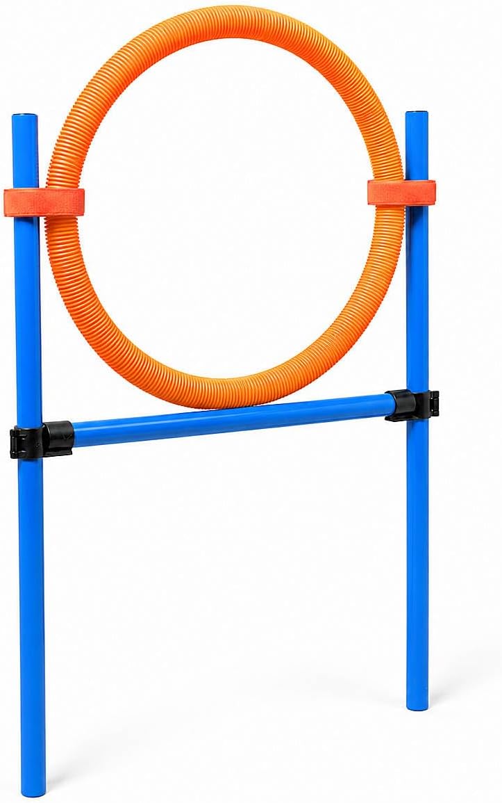 Hunde Agility Sprungring Jump-Ring Hürde Reifen Activity Training Set F