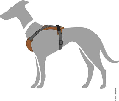 HUNTER AALBORG MIXED Hundegeschirr, M, cognac/grau, 56 - 81 cm cognac/grau 56 - 81 cm, cognac/grau 5