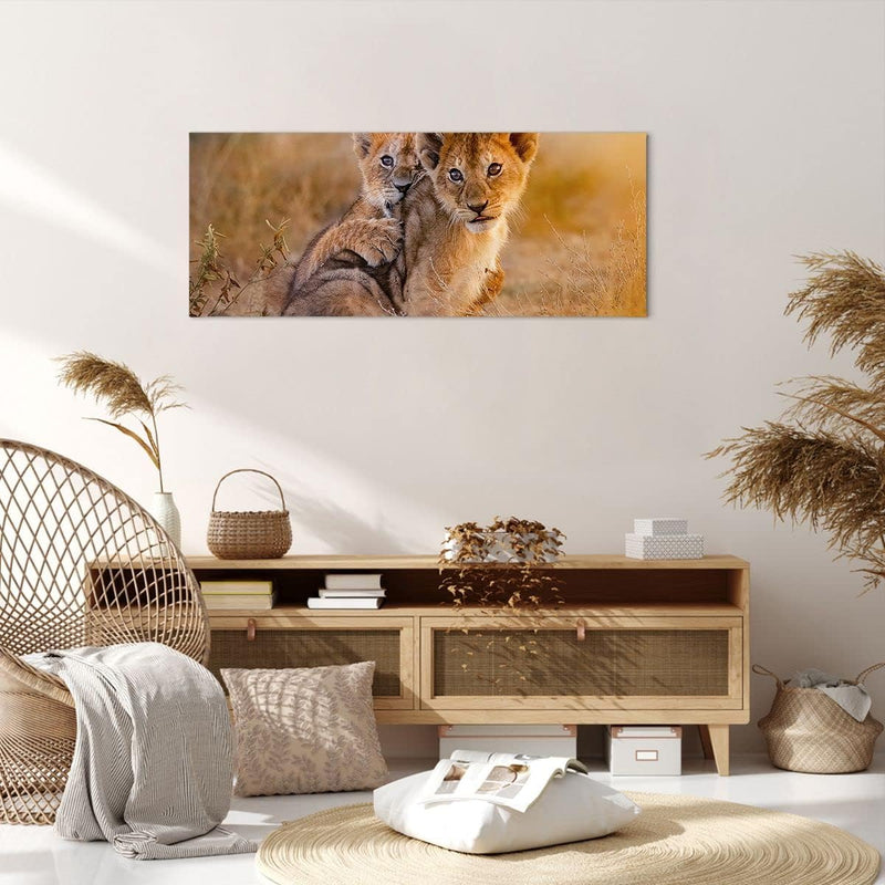 Panorama Bilder auf Leinwand 100x40cm Leinwandbild mit Rahmen Löwe Natur Tier Gross Wanddeko Bild Sc