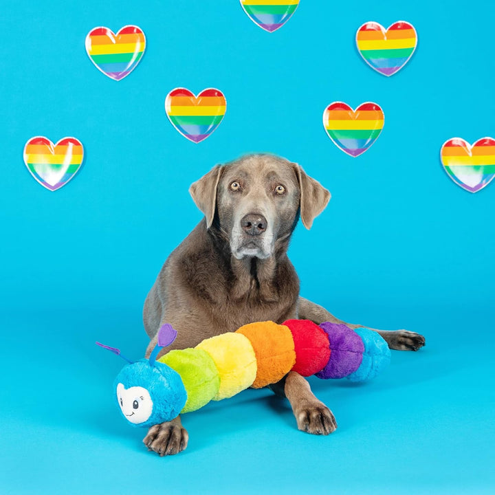 Fringe Studio 24 Inches Large Plush Dog Toy, Don't Bug ME, PetShop Collection (314050)