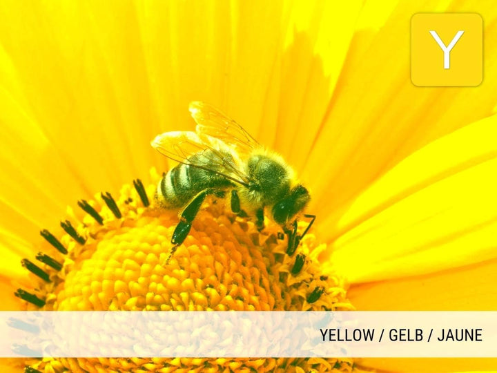 Mipuu Toner kompatibel mit Samsung CLT-Y504S (Gelb) für CLP-415n CLP-410 CLP-415nw CLP-415 CLX-4195f