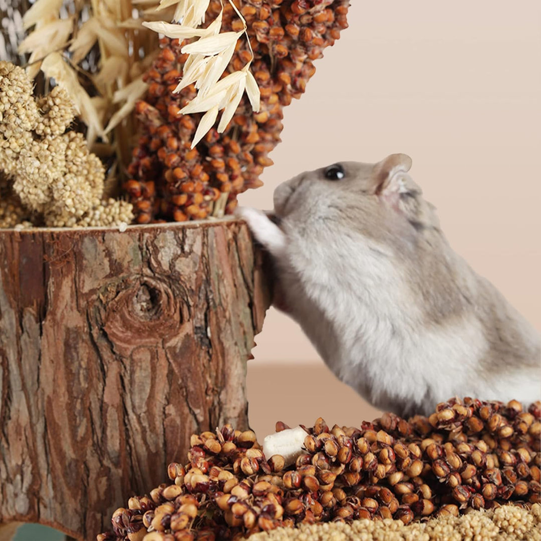 Natürliche Ähren aus Getreide Blumen und Kräuter, Einstreu, Lebensraum-Dekoration, lustiges Hamster-