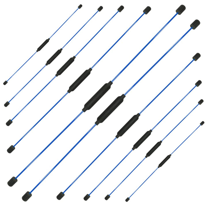 Best Sporting Schwingstab Fitness Set in 3 Farben I Swingstick für Ganzkörpertraining I Gymnastiksta