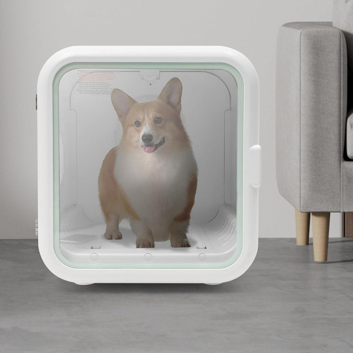 BRRIDE Automatischer Haustiertrockner für Katzen & Hunde, Geräuscharmer Hundeföhn mit Temperaturkont