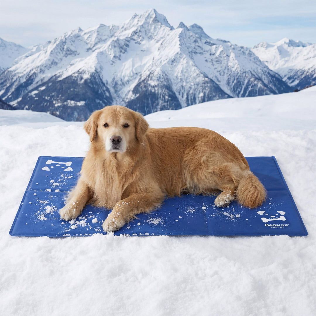 BEDSURE Kühlmatte für Hunde Extra Gross– 120x75cm selbstkühlende Gelmatte mit kratzfestem 300D Oxfor