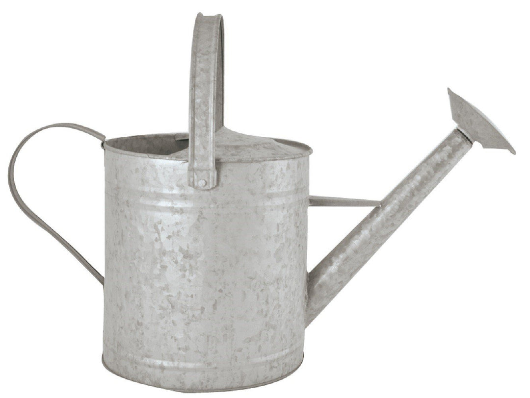 Esschert Design Altzink Giesskanne 6,6 Liter, 49,5x22x28 cm 49.5 x 22 x 28 cm Single, 49.5 x 22 x 28