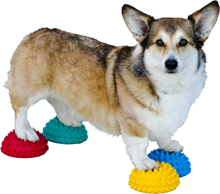 FitPAWS Dog Copenhagen Paw Pods mit Antirutsch für Hunde