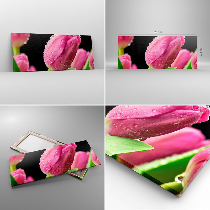 Wandbilder Dekoration Wohnzimmer Tulpe Blumen Tau Panorama Bilder auf Leinwand 120x50cm Leinwandbild