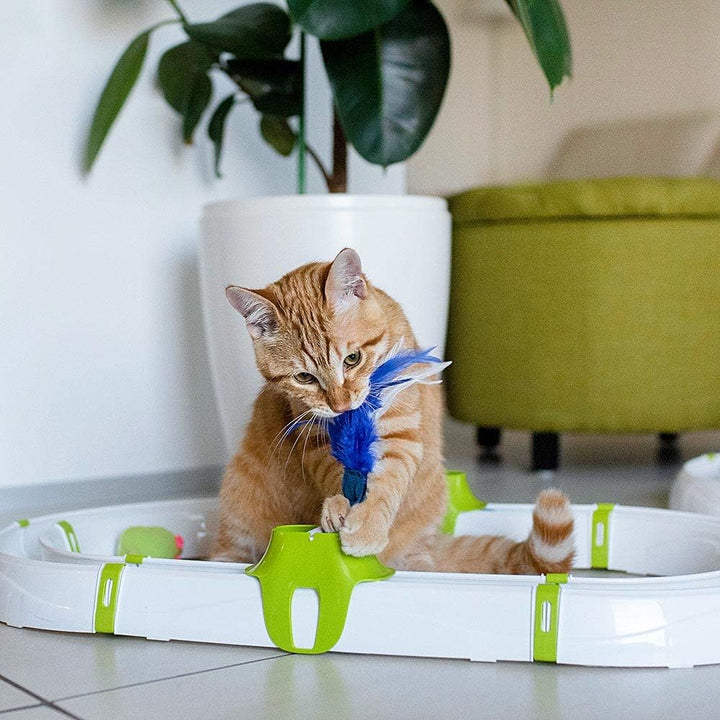 Ferplast Interaktives Spiel für Katzen TURBINE Katzenspielzeug mit Leichtem Ball, Modular, 72 x 40 c