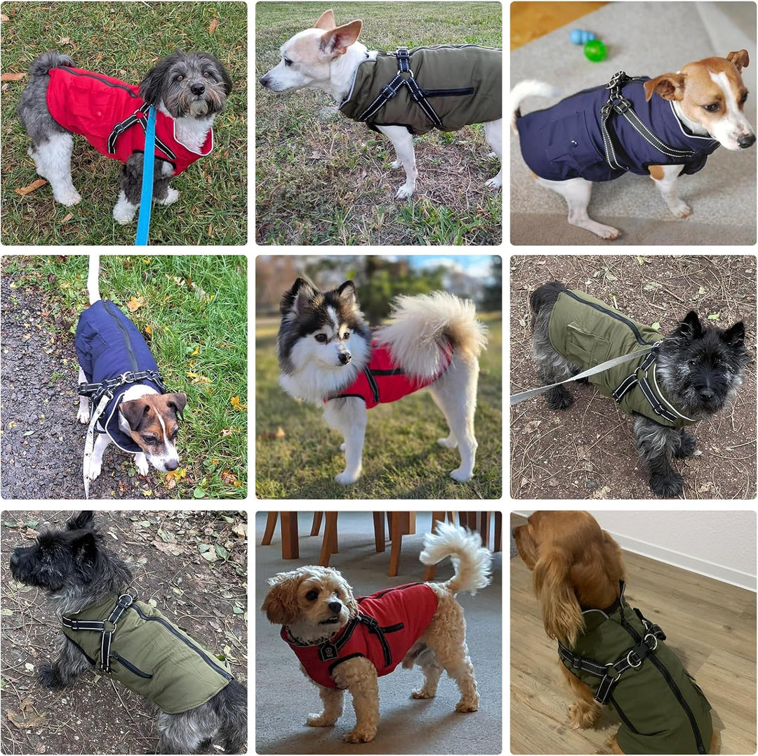 Hundemantel Hundejacke Wintermantel für Grosse Hunde, Hundemantel Winter mit Geschirr, Hunde Winterm