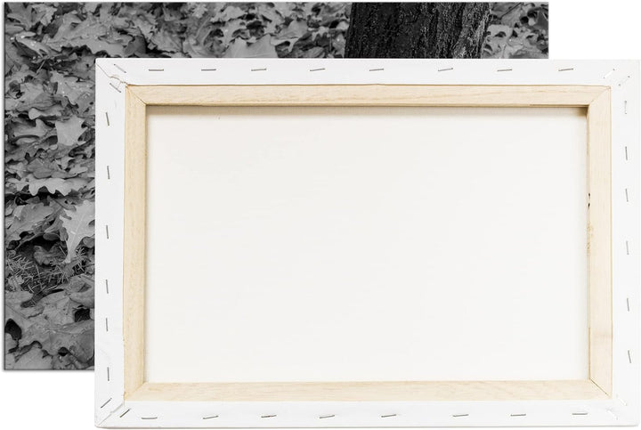 deyoli frische Kürbise Effekt: Schwarz&Weiss Format: 120x80 als Leinwandbild, Motiv fertig gerahmt a