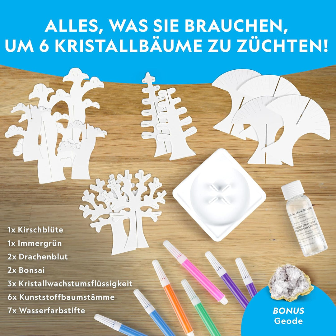 NATIONAL Geographic Bastelset für Kinder – Kristallzucht-Set, 6 Kristallbäume in 6 Stunden wachsen L