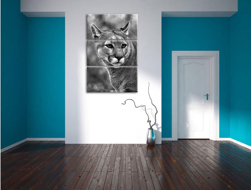 Pixxprint schöner Berglöwe Kunst B&W als Leinwandbild | Grösse: 3 Teilig (120x80) | Wandbild| Kunstd