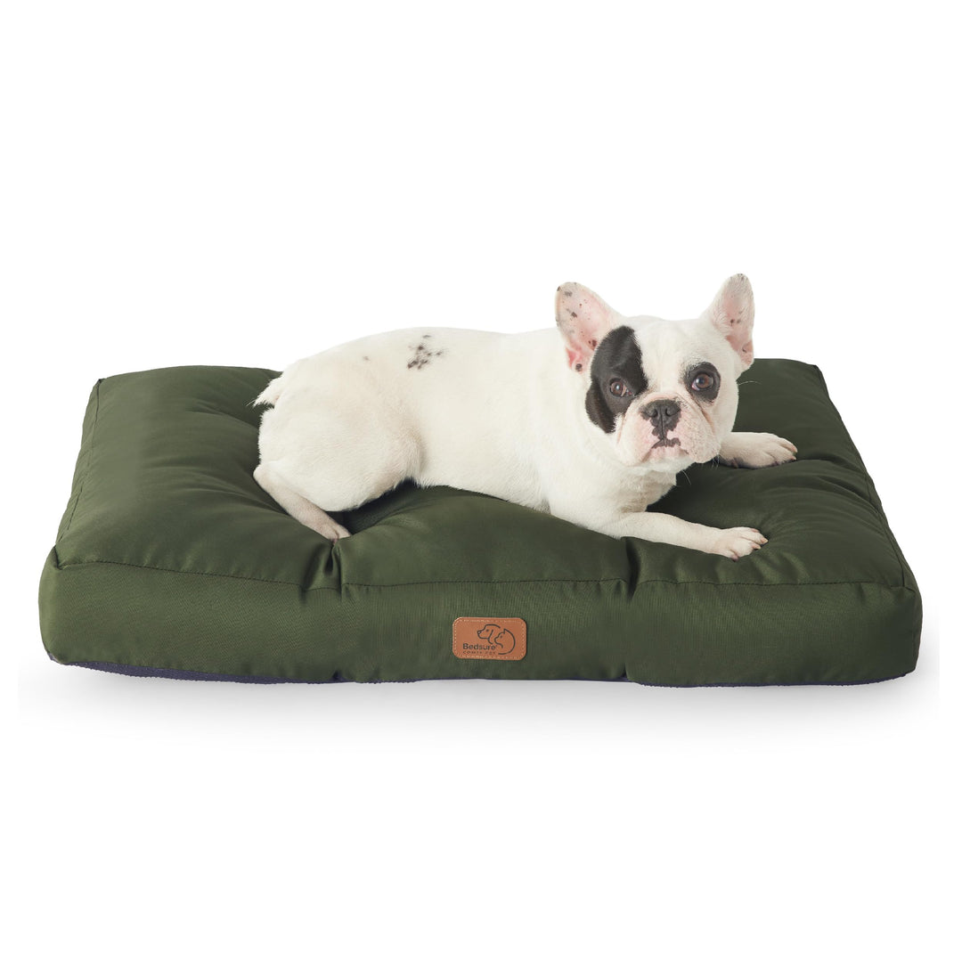 BEDSURE Hundekissen kleine Hunde waschbar - 76x50cm hundematratze wasserdicht M für kleine, mittelgr