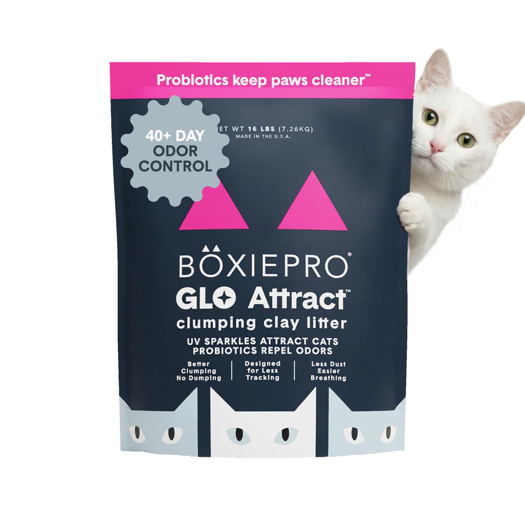 Boxie Glo Katzenstreu aus klumpendem Ton, 7,3 kg, mehrere Katzen, hervorragende Geruchskontrolle, ge