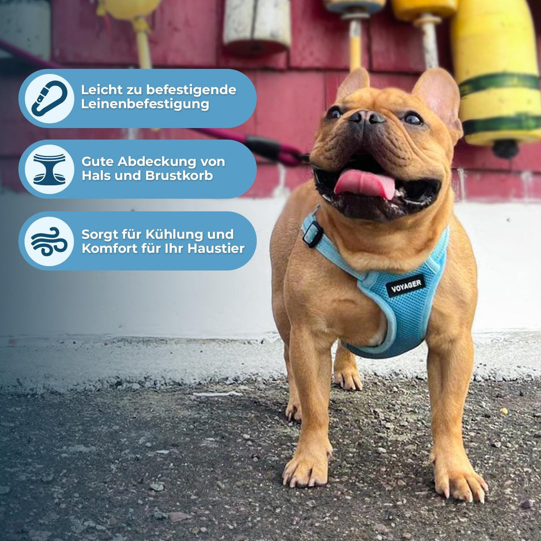 Voyager Verstellbares Hundegeschirr mit Reflektorstreifen by Best Pet Supplies - Strapazierfähige Ga