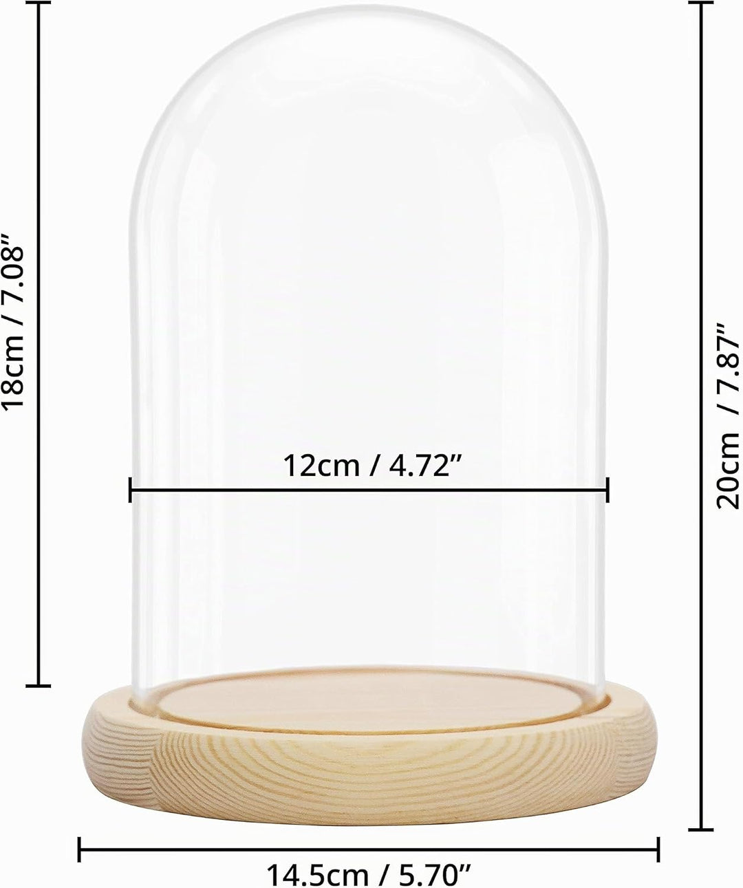 BELLE VOUS Glasglocke mit Holzboden - 20cm hohe Glaskuppel mit Holzboden - Glasglocke Gross Deko - t