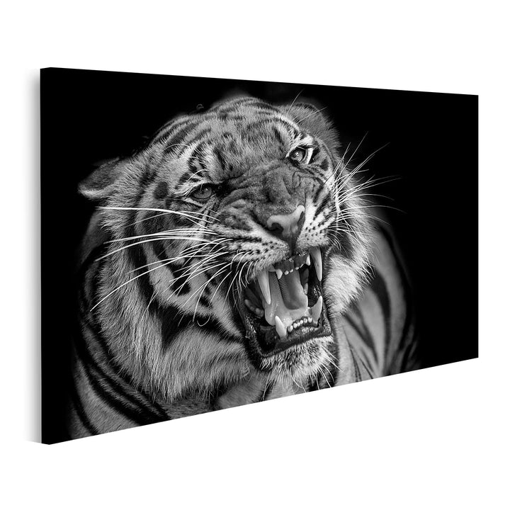 islandburner Bild auf Leinwand Sumatra Tiger Raubkatze Bilder Wandbilder Poster Leinwand 100x57cm, L