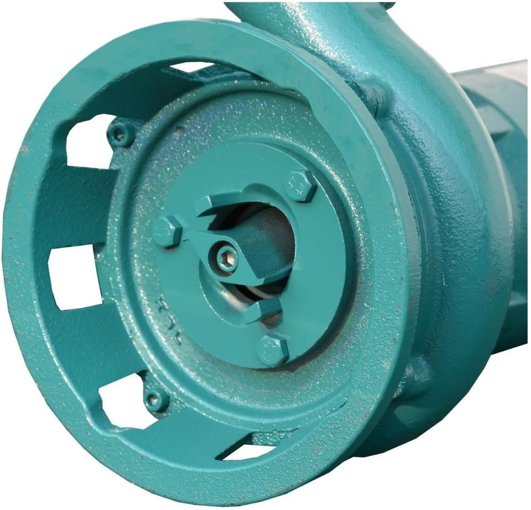 IBO TAUCHPUMPE Fäkalienpumpe 750W + 2" STORZ C KUPPLUNG - KG - Wasserpumpe Pumpe mit SCHNEIDWERK Sch