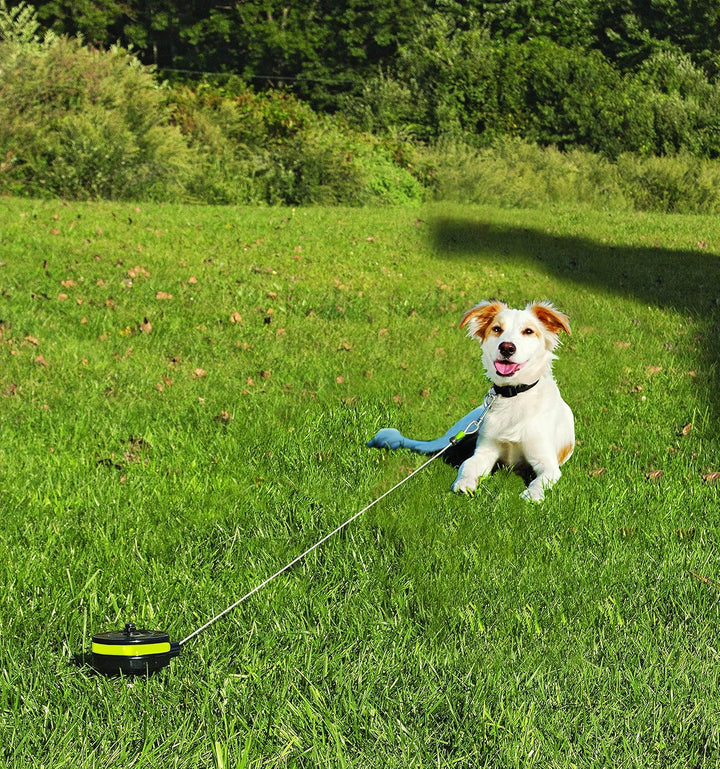 Lixit Halterung und Pfahl, einziehbare Leine, zum Ausziehen für Hunde (Pfahl, klein) Small (Pack of