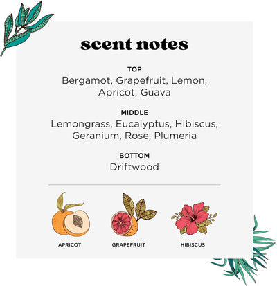 Poo-Pourri Before-You-Go Toilettenspray, Tropischer Hibiskus, Reisegrösse 10 ml, Hibiskus, Aprikose