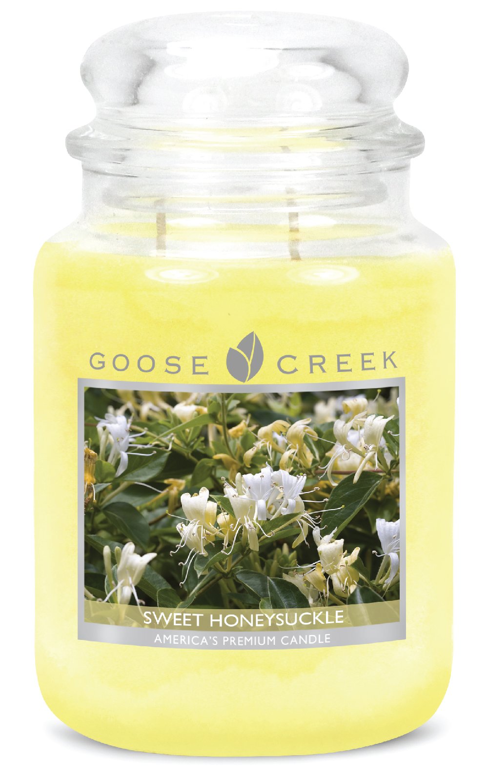 Goose Creek Kerzen-Glas 24 Unzen - Sweet Honeysuckle