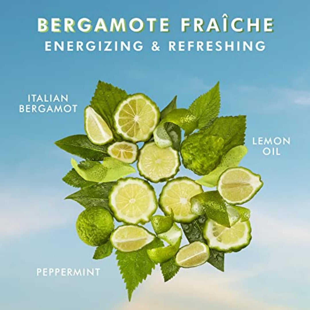 Moroccanoil Körperlotion Bergamote Fraiche, Bergamote Fraiche
