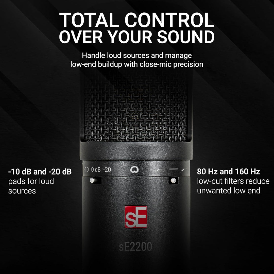 sE Electronics SE2200
