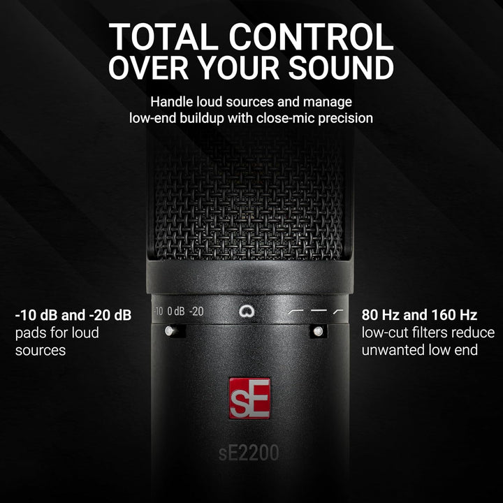 sE Electronics SE2200