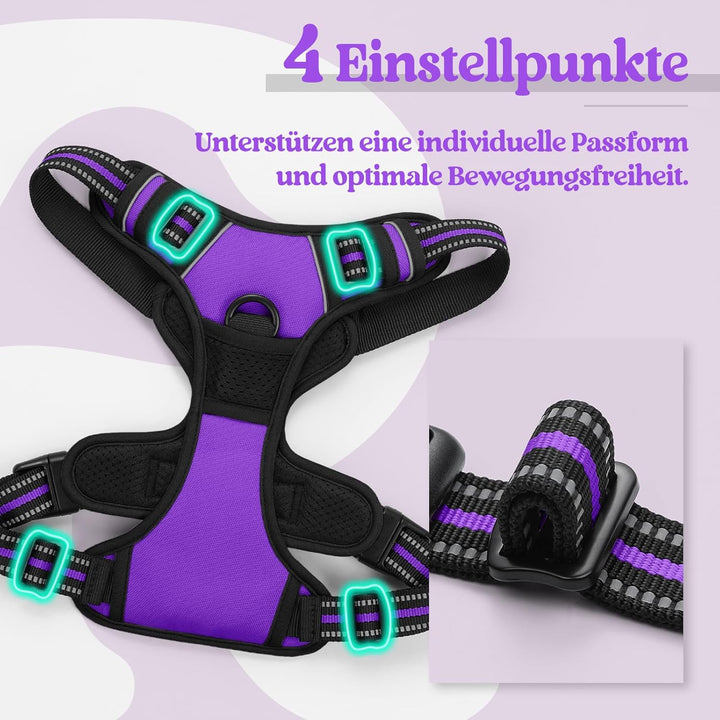 rabbitgoo Hundegeschirr Mittelgrosse Hunde, Anti Zug Geschirr mit Kontrolle, No Pull Verstellbar Hun