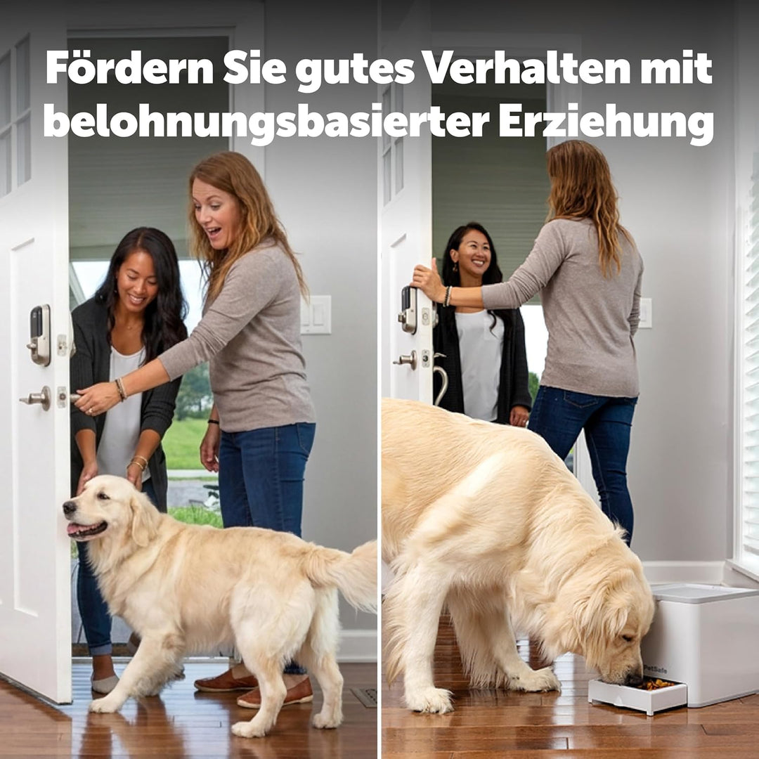 PetSafe Teach & Treat Ferngesteuerter Belohnungstrainer für Hunde, Training und positive Verstärkung