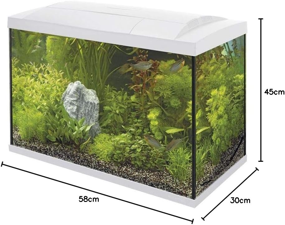 Superfish Start 70 Aquarium, Weiss weiss 70 l (Pack of 1), weiss 70 l (Pack of 1)