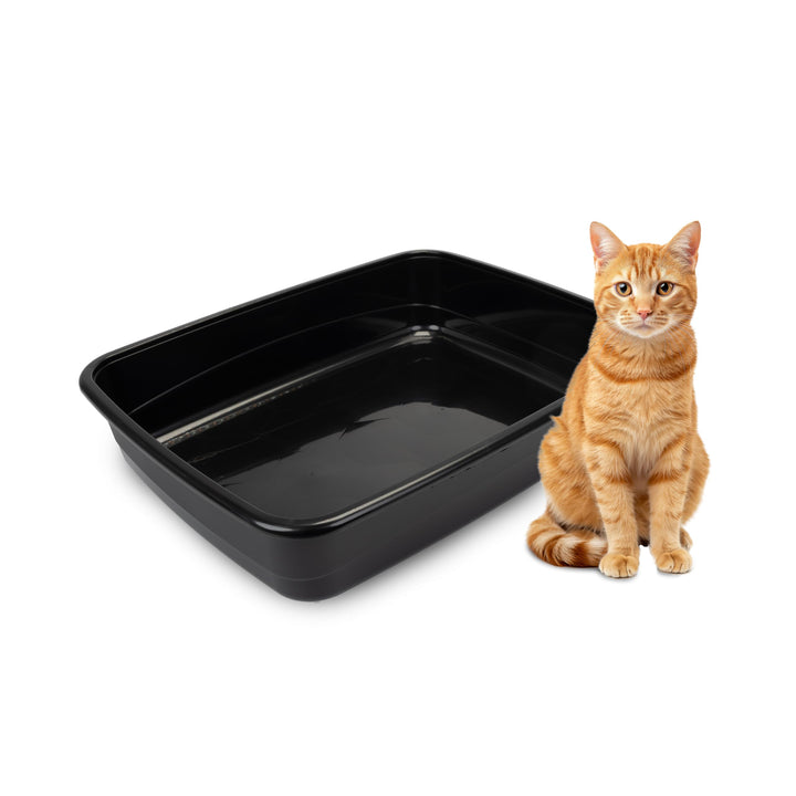 Ferplast Katzenklo, offene Katzentoilette mit hohen Rändern, 49,5 x 64,5 x H 14,5 cm, NIP 30 grosse