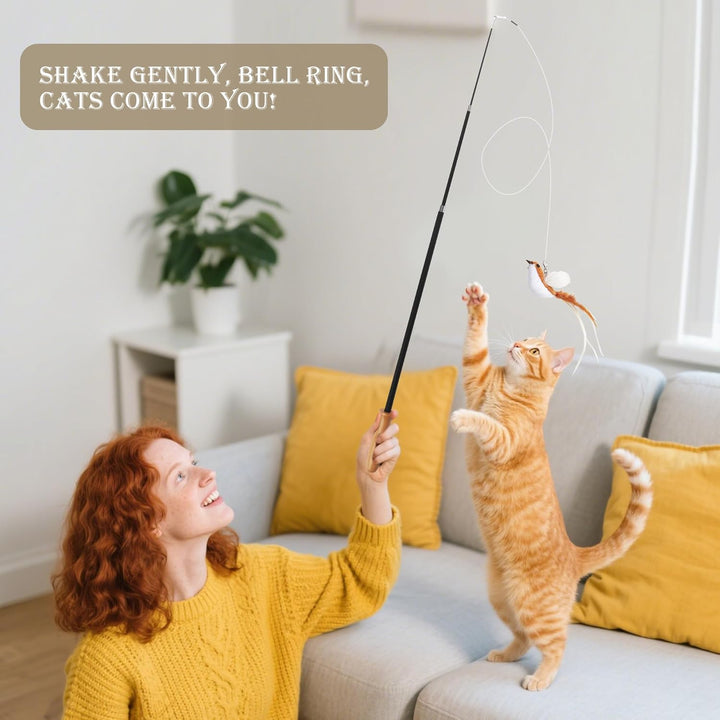 14 Stück Katzenspielzeug, Katzen Spielzeug Set mit 2 Langen Katzenengel, 4 Angelschnüren, 2 Vogel, 3