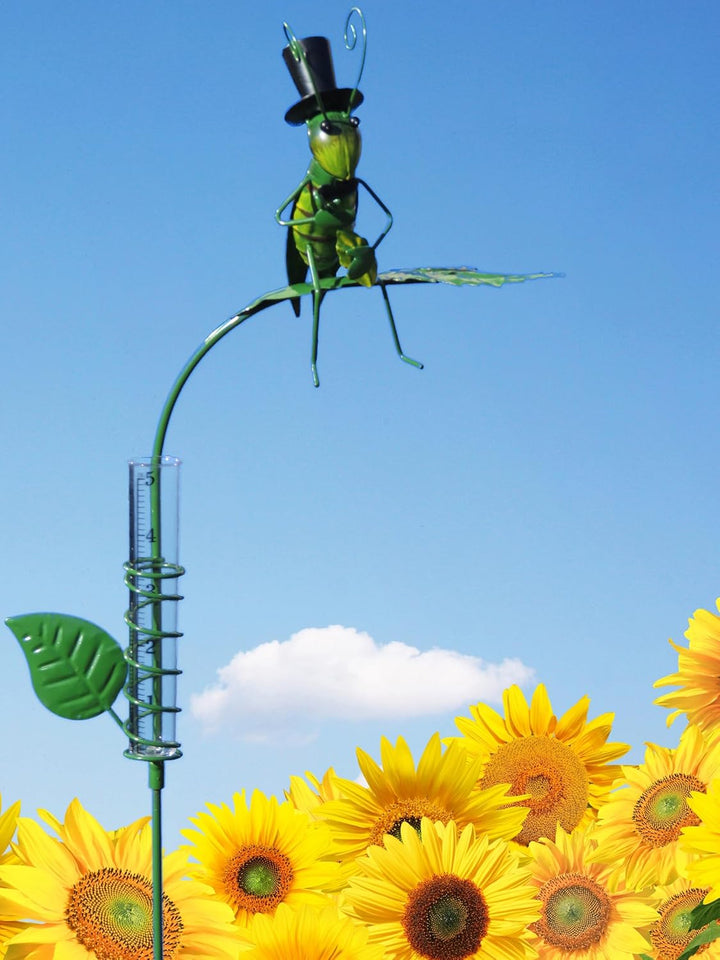 Pommerntraum ® | Regenmesser Niederschlagsmesser Pluviometer Gartendekoration Gartenstecker (lustige