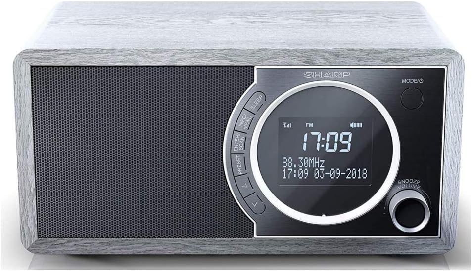 SHARP DR450 Digitalradio (DAB/DAB+/FM mit RDS, Bluetooth, Wecker-Funktionen, 6 Watt), grau Mono Digi