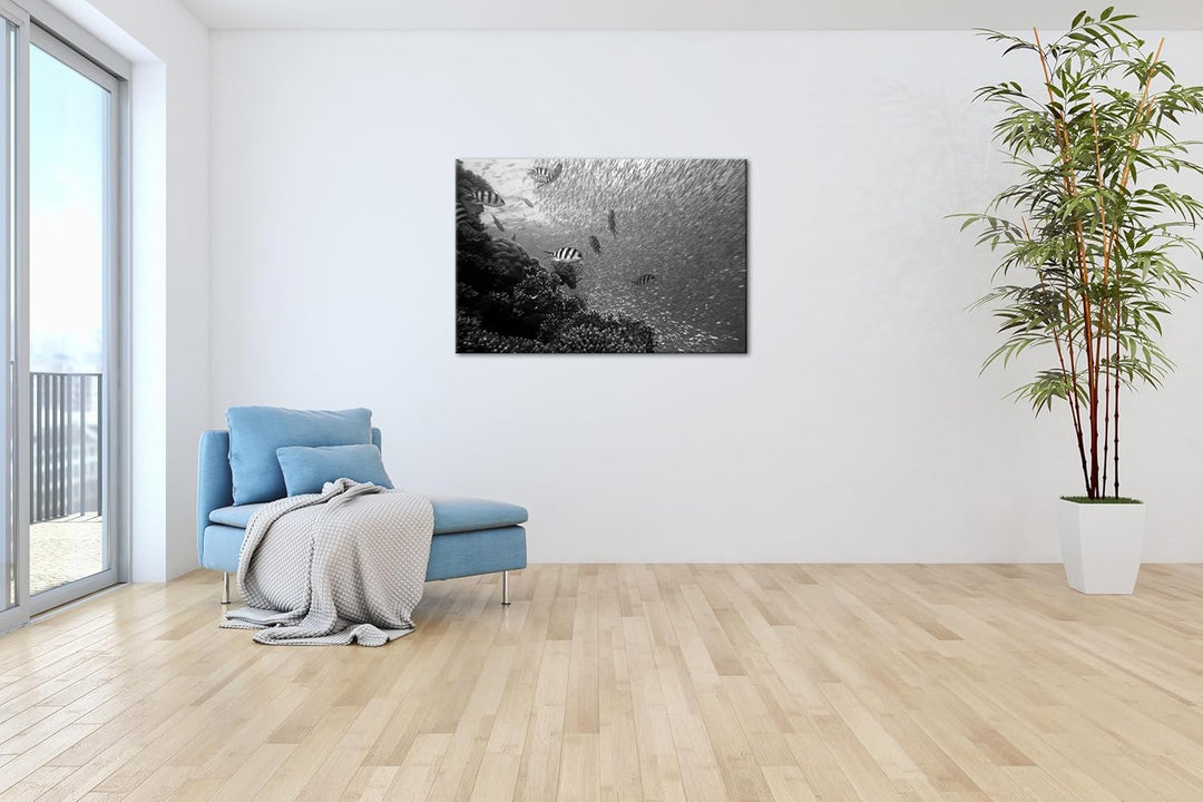 deyoli Fischschwärme im Korallenriff Format: 80x60 Effekt: Schwarz&Weiss als Leinwandbild, Motiv fer