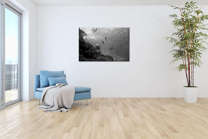 deyoli Fischschwärme im Korallenriff Format: 80x60 Effekt: Schwarz&Weiss als Leinwandbild, Motiv fer