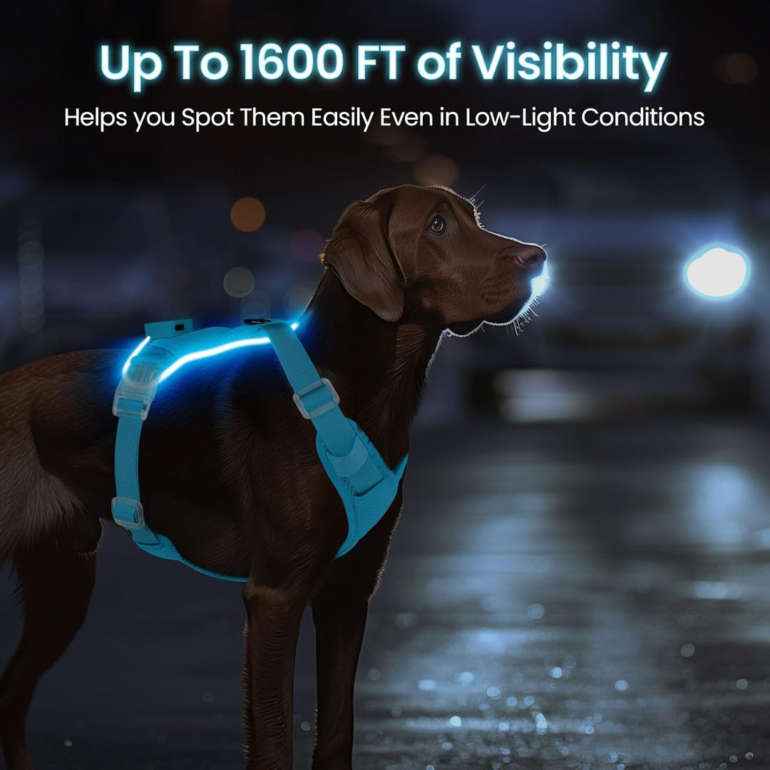 Light Up Dog Hundegeschirr Leuchtend LED Aufladbar - Leuchtgeschirr Leuchtend für Klein Mittelgrosse